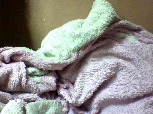 seths webcam