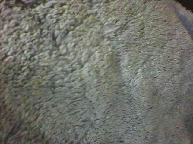 seths webcam
