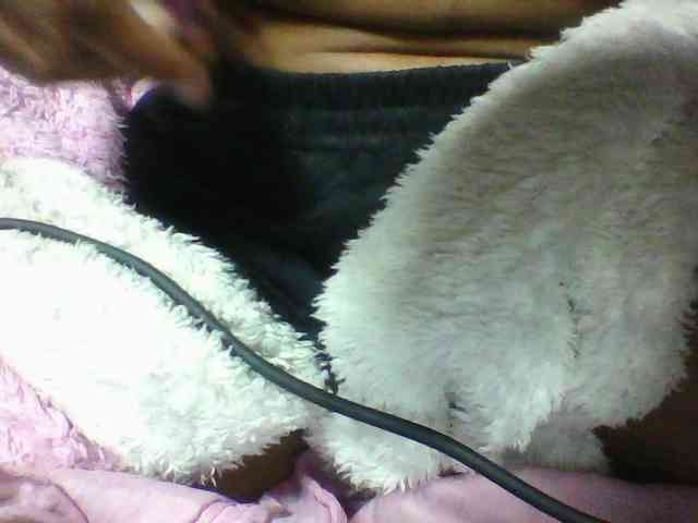 seths webcam