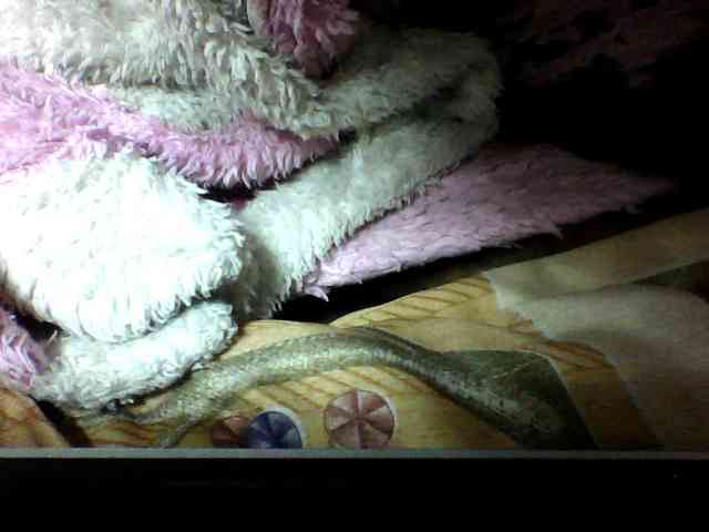 seths webcam