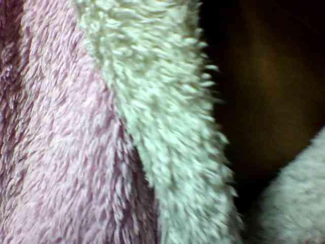 seths webcam
