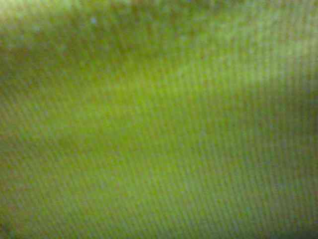 seths webcam