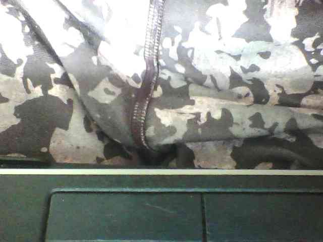 seths webcam