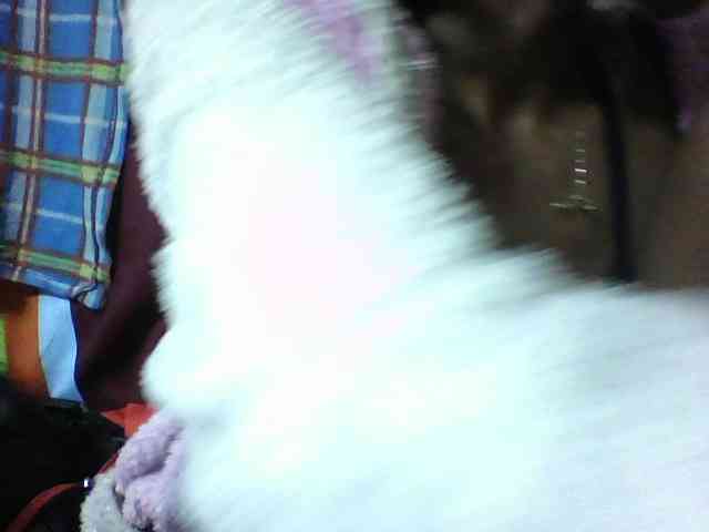 seths webcam