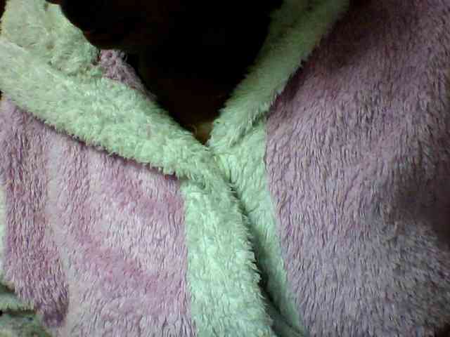seths webcam