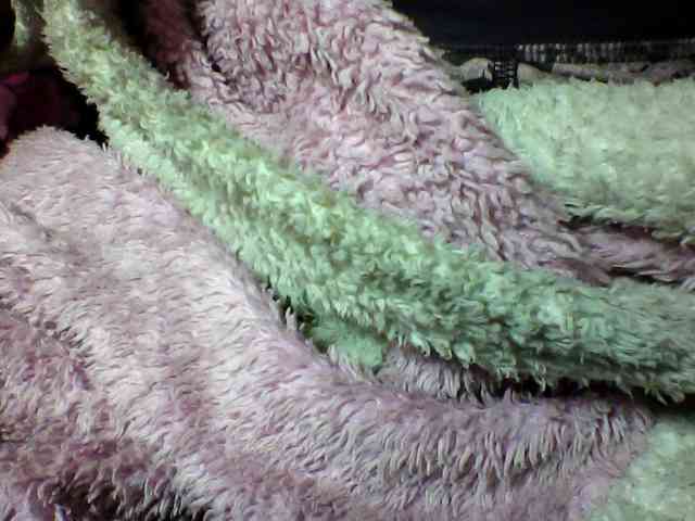 seths webcam