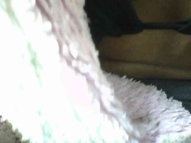seths webcam