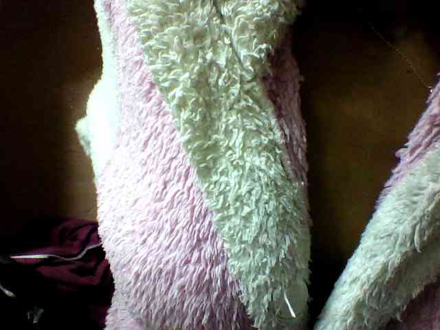 seths webcam