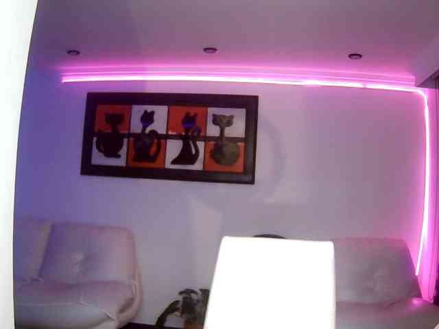 Samyhota webcam
