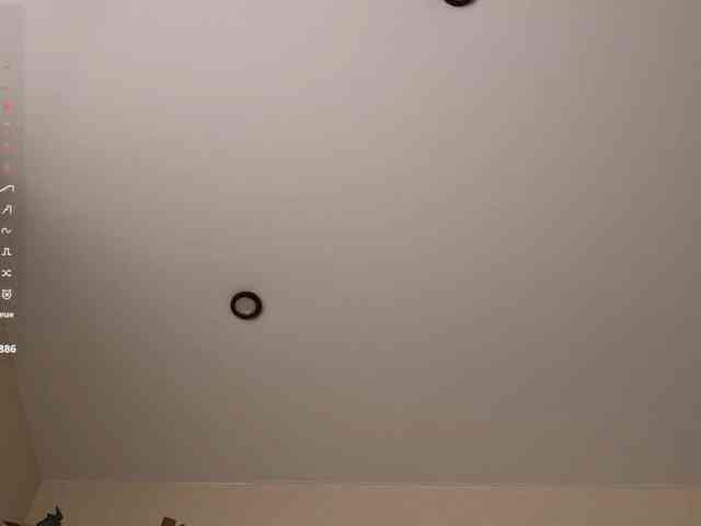 mariaro webcam