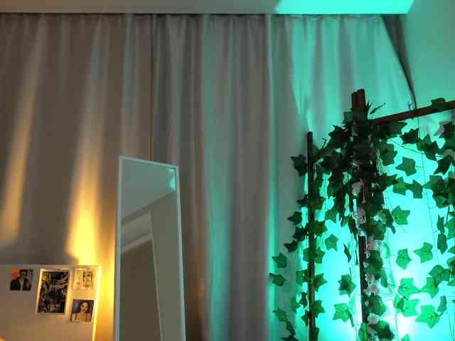 mariaro's live room
