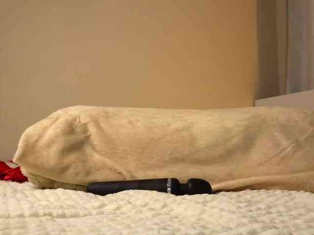 mariaro webcam