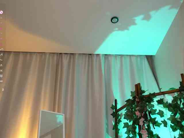 mariaro webcam