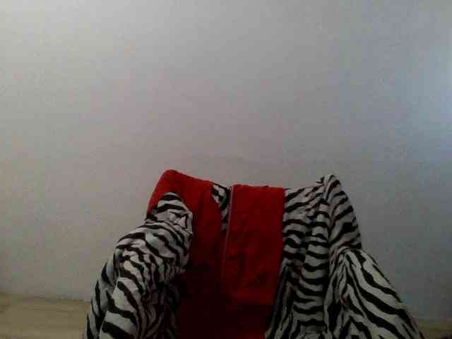 Modelo: AylaBelo