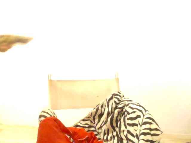 Modelo: AylaBelo