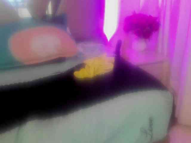 lilith-torres webcam