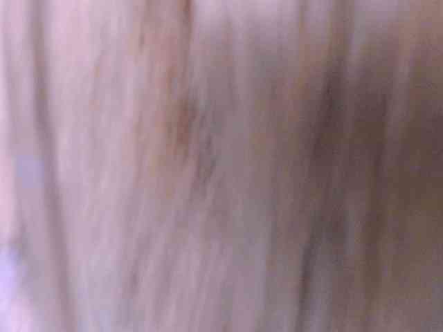 AriaBeauty webcam