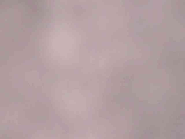 AriaBeauty webcam