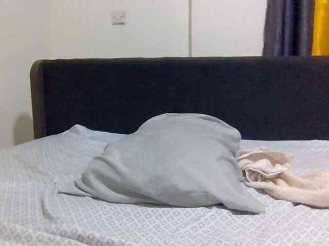 Curvey webcam