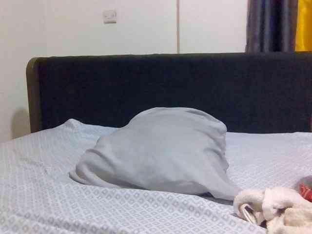 Curvey webcam