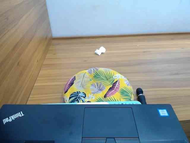--Luna-- webcam