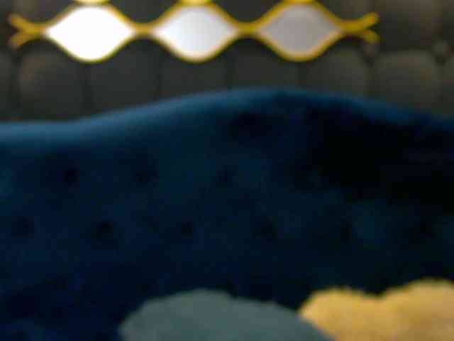 LeyaCass