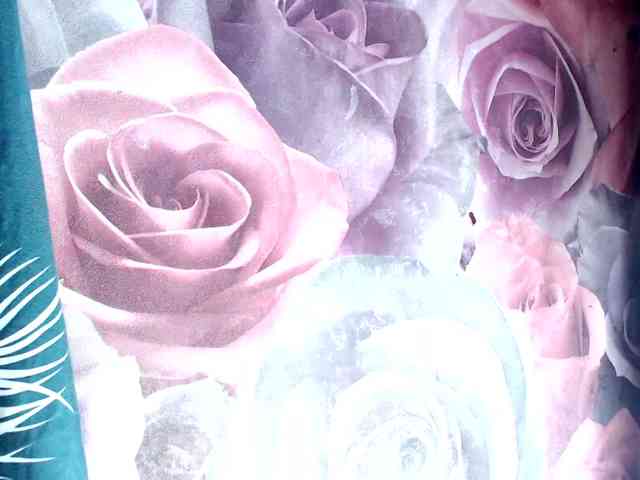 ViktoryDimond webcam