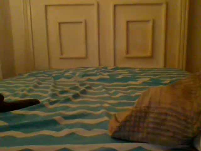 AmorSweetgal live cam on BongaCams