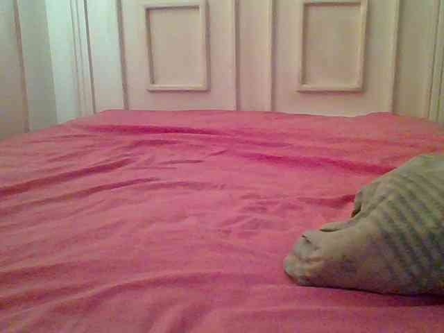 AmorSweetgal webcam