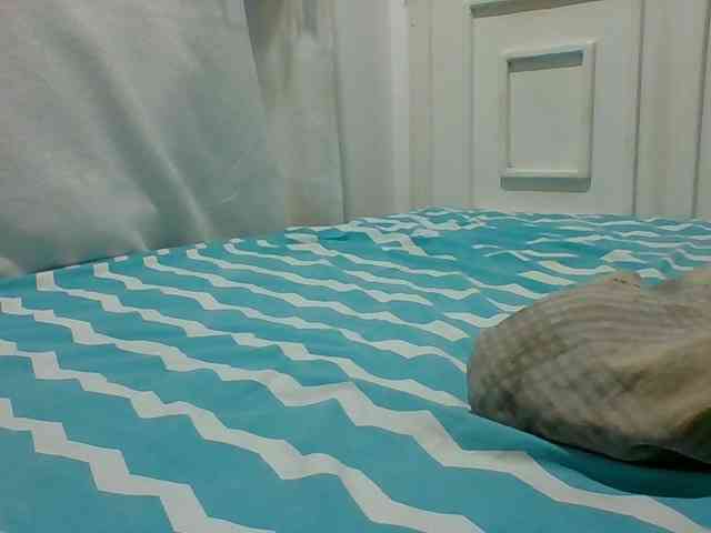 AmorSweetgal webcam