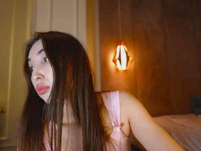 hayneiko webcam