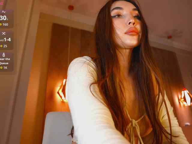 hayneiko webcam