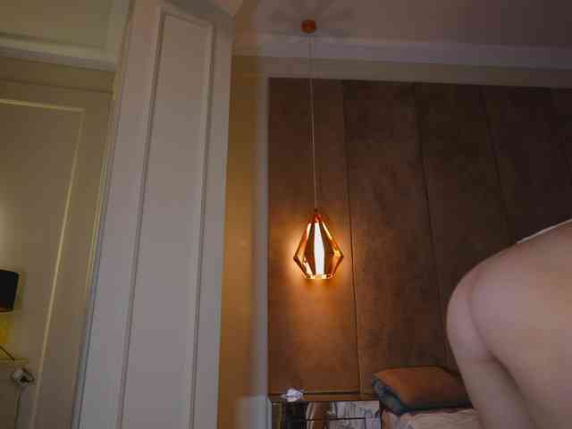 hayneiko webcam