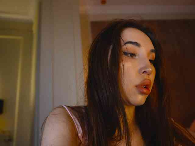 hayneiko webcam