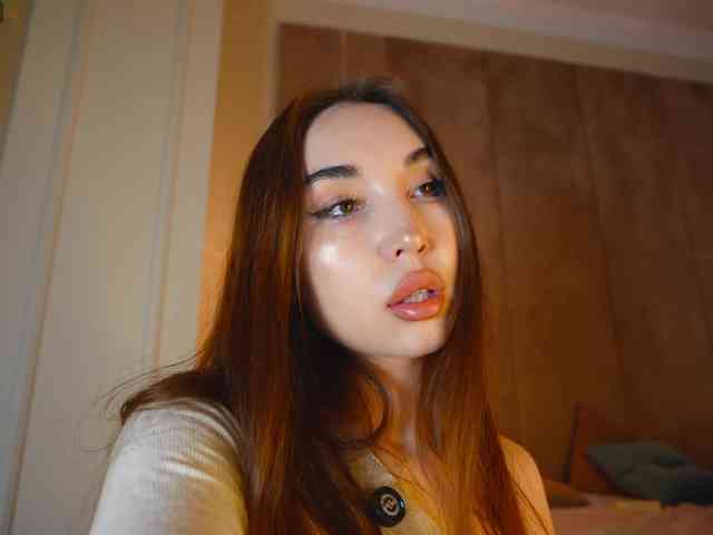 hayneiko webcam