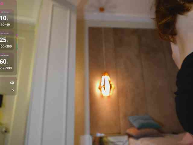 hayneiko webcam