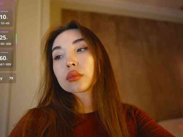 hayneiko webcam