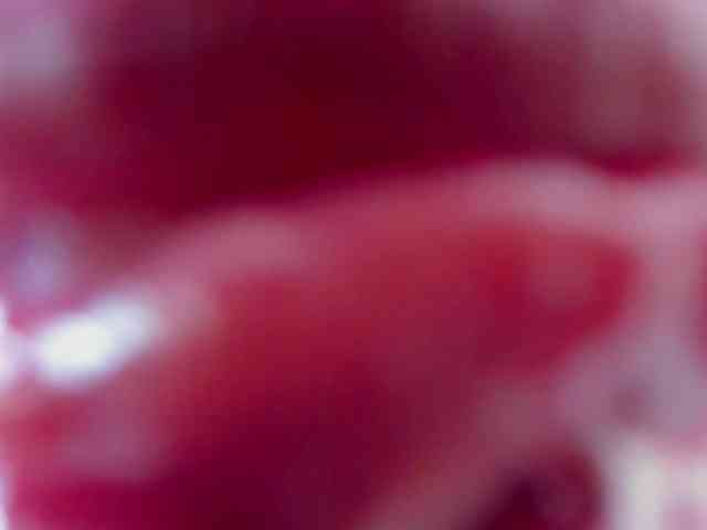 Angeline_yampoll