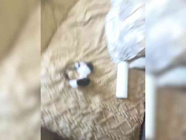 MadmenLovers webcam