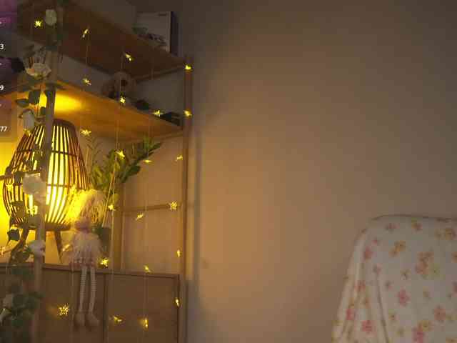 OrsonHodge webcam