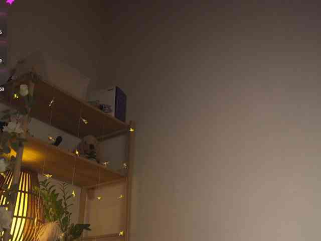 OrsonHodge webcam