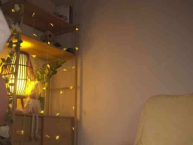 OrsonHodge webcam