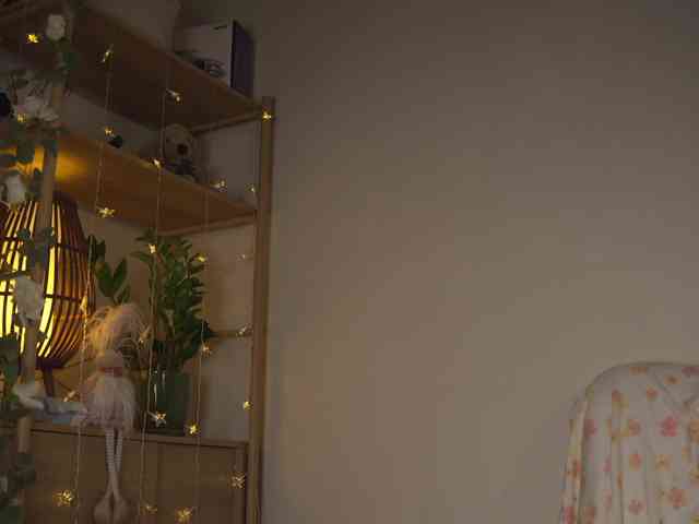 OrsonHodge webcam