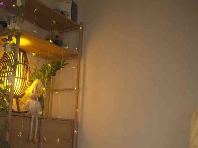 OrsonHodge webcam