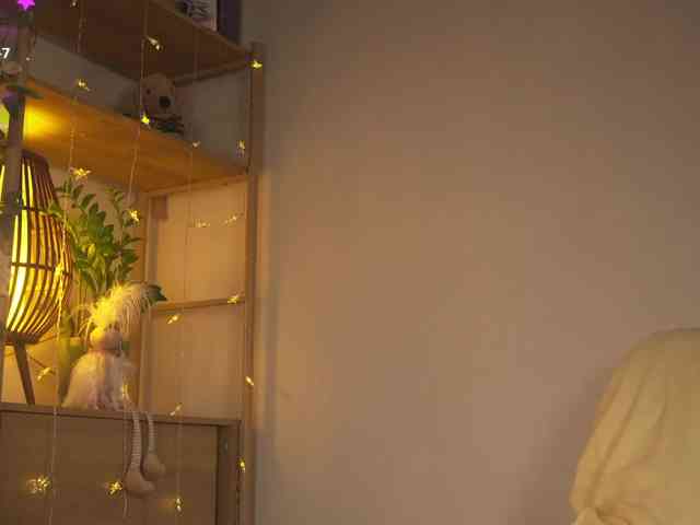 OrsonHodge webcam