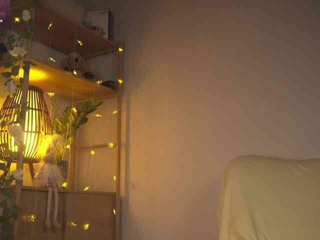 OrsonHodge webcam