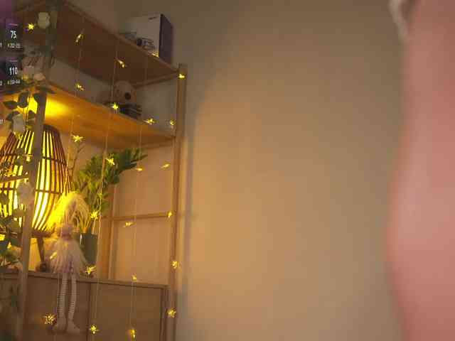 OrsonHodge webcam