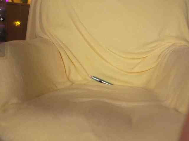 OrsonHodge webcam