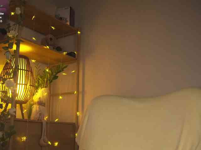 OrsonHodge webcam