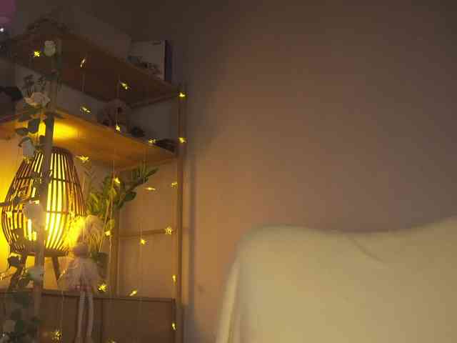 OrsonHodge webcam